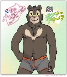2014 anthro artdecade bear biceps boxer_briefs bulge clothed clothing fur grey_clothing grey_underwear japanese_text looking_at_viewer male mammal muscular muscular_anthro muscular_male neck_tuft pecs pose simple_background sloth_bear smile solo teeth text topless tuft underwear underwear_festival ursine willy_(artdecade)