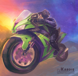anthro biped black_body black_fur blue_eyes boots buckteeth clothed clothing driving footwear fully_clothed fur gloves handwear holding_fixture long_ears looking_aside male motorcycle outside painting_(object) road shoes sitting sky solo speedpaint sports_bike star starry_sky straddling sunset teeth vehicle kardie lagomorph leporid mammal rabbit hi_res