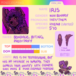 anthro armpit_tuft big_clitoris brown_body clitoral_slit clitoris ear_piercing genitals hair information inner_labia lgbt_pride looking_at_viewer nonbinary_pride_colors object_in_mouth piercing pride_colors purple_eyes purple_hair solo teeth text vulva yellow_sclera yellow_teeth monochromanis iris_the_hyena hyena mammal spotted_hyena english_text handwritten_text hi_res model_sheet nonbinary_(lore)
