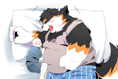 anthro belly big_belly black_body black_fur blush brown_body brown_fur clothing duo eyes_closed fur kemono lying male male/male overweight overweight_male pillow shirt size_difference topwear underwear white_body white_fur inunoshippo bernese_mountain_dog canid canine canis domestic_dog human mammal molosser mountain_dog swiss_mountain_dog 2026 hi_res