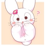 animal_genitalia anthro anus blush chibi female genitals looking_at_viewer lying on_back open_mouth pussy question simple_background solo x_anus onebchan ukkachan lagomorph leporid mammal rabbit 1:1 hi_res