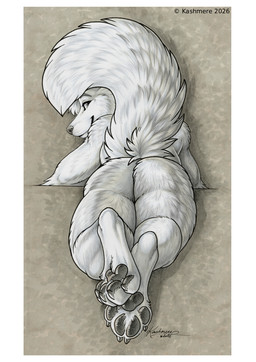 ambiguous_gender anthro border butt claws curled_tail fur looking_at_viewer looking_back looking_back_at_viewer lying nude nude_anthro on_front pawpads paws raised_tail rear_view solo tail toe_claws whisker_spots white_body white_border white_fur kashmere canid canine mammal 2026 hi_res signature traditional_media_(artwork)