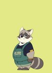 anthro biped blush clothing grey_body humanoid_hands kemono overalls shirt slightly_chubby solo topwear young young_anthro quanjiang bonasiah zoohomme rocco_(zoohomme) mammal procyonid raccoon 2023 absurd_res hi_res