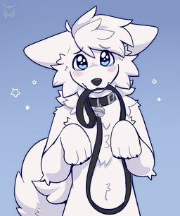 anthro begging bell bell_collar black_collar black_eyebrows black_leash black_nose blue_background blue_eyes blush blush_lines bodily_fluids cheek_tuft chest_tuft claws collar cute_fangs ears_down eyebrows facial_tuft fangs finger_claws fluffy fluffy_tail fur hair leash leash_in_mouth leash_in_own_mouth leashed_collar logo male navel neck_tuft object_in_mouth pivoted_ears pleading_eyes sad simple_background solo standing star tail tears teary_eyes teeth text tuft wearing_collar white_body white_fur white_hair fleurfurr canid canine canis domestic_dog mammal 2025 artist_logo artist_name hi_res