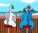 anthro anthrofied anus bar bar_stool beach beak beverage blue_body butt detailed_background duo feathers female flower furniture genitals looking_at_viewer looking_back plant pussy sea seaside sitting smile stool water white_body wings sharkinwaves blue_sky_studios rio_(series) the_swan_princess jewel_(rio) princess_odette anatid anseriform anserinae avian bird macaw neotropical_parrot parrot spix's_macaw swan true_parrot