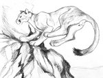 animal_genitalia balls black_eyes dipstick_tail feline_genitalia feline_sheath feral fully_sheathed genitals jumping landing male markings mountain rock sheath sky solo tail tail_markings whiskers white_balls white_sheath white_sky dragoness31 cougar felid feline mammal monochrome sketch