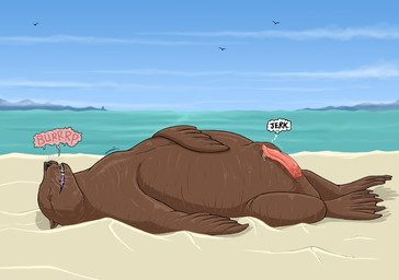 abdominal_bulge animal_genitalia beach bodily_fluids brown_body burping erection eyes_closed face_imprint feet feral feral_pred fully_inside genital_fluids genitals imprint lying male male_feral male_pred membrane_(anatomy) on_back outside penis precum sand sea sheath solo thought_bubble toes vore water webbed_feet whiskers strega ambient_bird aquatic mammal pinniped sea_lion hi_res