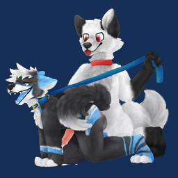 all_fours anal anthro asphyxiation bodily_fluids choking collar cum cum_drip cum_inside doggystyle dripping duo erection fluffy fluffy_tail from_behind_position fur genital_fluids genitals leash leash_pull male male/male penis sex tail tongue tongue_out mooncci canid canine canis mammal wolf 1:1 alpha_channel hi_res