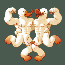 abs anthro armpit_showing athletic avian_feet beak caricature curved_penis duo erection feet flexing genitals glans male male/male muscular muscular_male orange_beak orange_feet orange_glans pecs penis silly_pose simple_background small_eyes smile touching_tips white_body ravuer anatid anseriform avian bird duck 1:1 hi_res