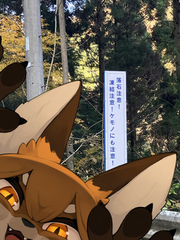 against_surface ambiguous_gender anthro black_nose brown_body brown_fur claws cute_fangs dipstick_ears ear_markings fangs finger_claws fur hair kemono looking_at_viewer multicolored_ears on_glass open_mouth orange_body orange_eyes orange_fur orange_hair pawpads photo_background photobomb pupils slit_pupils solo teeth text tongue white_body white_fur kamukamu6392 canid canine fox mammal 2025 digital_media_(artwork) japanese_text photography_(artwork) translated