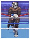 anthro athletic athletic_anthro athletic_male bare_chest bedroom_eyes black_nose blonde_hair boots border boxing_gloves brown_body brown_eyes brown_fur clothed clothing crotchless_bottomwear crotchless_clothing fighting_ring footwear fur genitals glistening glistening_clothing hair handwear headgear humanoid_genitalia humanoid_penis leaning leaning_forward looking_at_viewer male muscular muscular_male narrowed_eyes pecs penis pose relaxing rope seductive shoes smile smirk smug solo standing topless topless_male white_border dcheese koc adrian_banner mammal mustelid otter sea_otter 2021 absurd_res digital_media_(artwork) hi_res signature