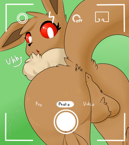 anus balls butt camera feral fur genitals male photo solo yirck nintendo pokemon canid eevee generation_1_pokemon mammal pokemon_(species) absurd_res hi_res