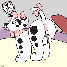 animal_genitalia animal_penis anus balls canine_genitalia canine_penis collar femboy feral fur genitals male markings penis pink_outfit ribbons solo spots spotted_body spotted_fur toony white_body white_fur yourfur paw_patrol marshall_(paw_patrol) canid canine canis dalmatian domestic_dog mammal 1:1 hi_res