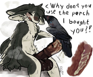 3_fingers 4_ears animal_genitalia animal_penis anthro anthro_on_feral anthro_penetrated asking_another asking_partner balls beak bestiality big_balls big_penis biped bipedal_feral black_balls black_body black_claws black_feathers black_feet black_fur black_genitals black_hair black_penis black_wings blue_eyes blush bodily_fluids breath chest_tuft claws countershade_face countershade_torso countershading cum cum_drip cum_exchange cum_in_balls cum_in_penis cum_in_urethra cum_inside cum_on_penis cutaway dialogue digitigrade dominant dominant_feral dripping duo ears_back ears_down ejaculation emanata embarrassed equine_genitalia equine_penis erection exclamation_point eyes_closed facial_tuft feathered_wings feathers feet feral feral_penetrating feral_penetrating_anthro finger_claws fingers flared_penis fluffy foot_fetish foot_play fur genital_fluids genitals gradient_penis grey_body grey_feathers hair huge_balls huge_penis internal internal_urethral interrobang interspecies larger_anthro larger_male larger_penetrated larger_sub leaking leaking_cum looking_at_another looking_pleasured male male/male male_anthro male_feral male_on_feral male_penetrated male_penetrating male_penetrating_anthro medial_ring mismatched_animal_penis mismatched_genitalia mismatched_penis motion_lines multi_ear multicolored_body multicolored_feathers musk narrowed_eyes nervous nude nude_anthro nude_male open_mouth orgasm penetration penile penile_penetration penis penis_in_penis perching pink_genitals pink_penis pivoted_ears question_mark questionable_consent scuted_legs scutes sex simple_background sitting size_difference smaller_feral smaller_male standing_on_penis steam submissive submissive_anthro sweat sweatdrop sweaty_balls sweaty_genitalia tail tail_feathers talon_fetish tapering_penis text thick_penis throbbing throbbing_penis toes tuft tufted_fur two_tone_body two_tone_feathers urethral urethral_bulge urethral_penetration vein veiny_penis white_background white_body white_feathers white_fur winged_arms wings kestrel_(artist) fyr_(fenrir784) teek avali avian bird corvid corvus_(genus) jackdaw oscine passerine western_jackdaw 2026 artist_name colored digital_drawing_(artwork) digital_media_(artwork) english_text hi_res shaded signature simple_shading maleherm_(lore)