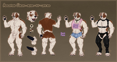 ankle_tuft anthro arm_tuft black_nose black_pawpads black_penis bottomwear brown_body brown_fur calf_tuft chest_harness chest_tuft claws clothing collar crop_top denim denim_bottomwear denim_clothing denim_shorts ear_piercing ear_stud elbow_tuft eyewear fur genitals glasses green_eyes gus_(itmeporps) harness leather leather_bottomwear leather_clothing leather_pants leg_tuft male nipples pants pawpads penis piercing pink_nipples pubes shirt shorts smile solo topwear tuft wearing_glasses white_body white_claws white_fur interkos canid canine canis domestic_dog hunting_dog jack_russell_terrier mammal terrier 2022 model_sheet