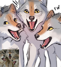 comparison feral group open_mouth photo smile teeth tongue trio yellow_eyes flashw canid canine canis mammal wolf 2021 digital_media_(artwork)