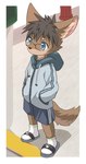 2023 absurd_res anthro black_hair blue_eyes brown_body brown_fur canid canine canis child domestic_dog eyebrows eyewear fur glasses hair hand_in_pocket hi_res male mammal noyamaaoi outside pockets serious socks_with_sandals solo tail young young_anthro young_male