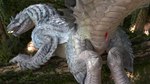 3d_(artwork) barlu blender_(artwork) capcom digital_media_(artwork) fanged_wyvern female feral forest fur genitals hi_res looking_at_viewer monster_hunter plant presenting presenting_pussy pussy raised_tail scalie solo tail tail_anus tailbutt thick_tail thick_thighs tobi-kadachi tree