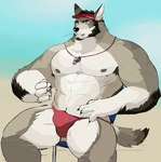 abs anthro armpit_hair body_hair bulge clothing looking_at_viewer male muscular muscular_anthro muscular_male nipples pecs sitting solo swimwear fuddyblog echo_(series) echo_project the_smoke_room william_adler canid canine canis coyote mammal hi_res