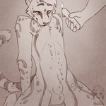 animal_genitalia candle candle_wax candlelight femboy fire genitals light male sheath solo wax wax_play nugitos kinktober kinktober_2024 cheetah felid feline mammal 1:1 absurd_res hi_res