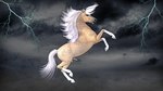anatomically_correct anatomically_correct_genitalia anatomically_correct_penis animal_genitalia animal_penis australia australian balls cloud electricity equine_genitalia equine_penis feral fog genitals hooves lightning lightning_bolt male male_feral on_hind_legs penis quadruped solo unguligrade sunjaguar the_silver_brumby thowra equid equine horse mammal 16:9 widescreen