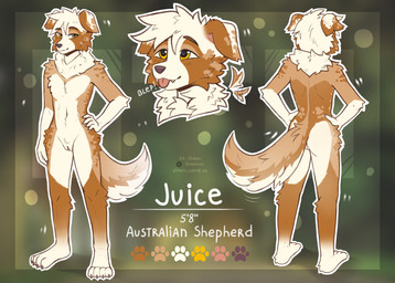 andromorph anthro belly big_tail blep butt cheek_tuft claws eyebrows facial_tuft floppy_ears fluffy fluffy_chest fluffy_tail front_view fur genitals grey_claws hair intersex lop_ears markings neck_tuft nude orange_body orange_fur pink_inner_ear pink_vulva pubes purple_nose raised_tail rear_view smile solo standing tail tan_body tan_fur text tongue tongue_out tuft vulva white_belly white_body white_fur white_hair yellow_eyes shtein australian_shepherd canid canine canis domestic_dog herding_dog mammal pastoral_dog sheepdog english_text hi_res model_sheet
