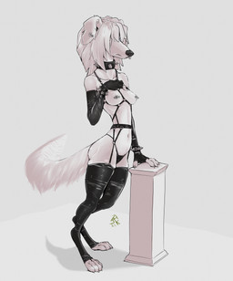 4_toes anthro armwear barbell_piercing black_nose bracelet breasts clothing collar dominatrix facial_piercing feet female fingers fur garter_belt garter_straps hair hair_over_eyes hindpaw humanoid_hands jewelry legwear navel nipple_barbell nipple_piercing nipples nose_piercing nose_ring paws piercing ring_piercing septum_piercing septum_ring solo spiked_bracelet spiked_collar spikes standing stockings thong toes underwear white_body white_fur white_hair replicant_skrunkle borzoi canid canine canis domestic_dog hunting_dog mammal sighthound hi_res