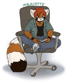 anthro arm_markings biped black_clothing black_markings black_shirt black_topwear book bottomwear chair clothed clothing countershade_face countershading eyebrows facial_markings fluffy fluffy_tail footwear front_view furniture hair head_markings holding_book holding_object jewelry looking_at_book looking_at_object male markings necklace office_chair open_clothing open_mouth open_shirt open_topwear orange_hair pants reading ring_(marking) ringed_tail shirt short_hair simple_background sitting socks solo striped_markings striped_tail stripes tail tail_markings topwear white_background white_ears white_markings wrist_markings malachyte ailurid mammal red_panda 2015 absurd_res clip_studio_paint_(artwork) digital_media_(artwork) hi_res