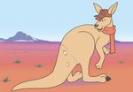 after_transformation blueballs blush body_part_transformation clothing detailed_background eyeball feral hat headgear headwear kangaroo macropod male mammal marsupial merging sad scarf smug tail_transformation transformation worried