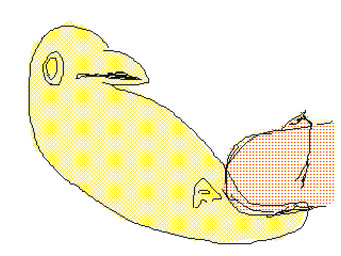 ambiguous_gender beak bestiality cloacal cloacal_penetration extreme_penetration extreme_size_difference feral feral_penetrated genitals human_on_feral humanoid_genitalia humanoid_penis interspecies male male/ambiguous penetration penis size_difference smaller_penetrated tail x-ray_view einin avian bird corvid human mammal oscine passerine 2026 aliasing animated digital_media_(artwork) dithering flipnote_studio_3d_(artwork)