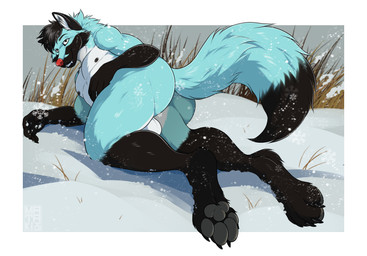 abs anthro arched_back athletic balls big_balls big_butt big_feet black_ears black_hair blue_body blue_fur butt cheek_tuft facial_tuft feet fluffy fluffy_ears fluffy_tail fur fuzzy genitals grey_eyes hair half-closed_eyes huge_butt looking_at_viewer looking_back looking_back_at_viewer lying lying_on_ground male mohawk muscular muscular_anthro muscular_male muscular_thighs nails narrowed_eyes nude nude_anthro nude_male on_ground pawpads paws pecs red_nose sharp_teeth snow solo tail teeth toned_body toned_male tuft white_body white_fur mataki23 nicolas_delgado canid canine canis coyote domestic_dog fox german_shepherd herding_dog husky hybrid mammal maned_wolf nordic_sled_dog pastoral_dog spitz hi_res
