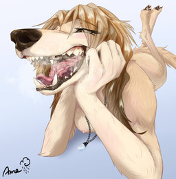 anthro anthro_on_anthro black_nose blonde_hair bodily_fluids drooling drooling_onto_other duo extreme_size_difference eye_through_hair fangs female fur gradient_background hair imminent_vore inside_mouth jewelry larger_female male male/female mawplay micro micro_male mouth_play necklace on_tongue saliva saliva_covered simple_background size_difference smaller_male tan_body tan_fur teeth tongue translucent translucent_hair amedamawanko ame_(amedamawanko) sarah_saluki canid canine canis domestic_dog hunting_dog mammal saluki sighthound 2026 hi_res