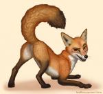 ambiguous_gender black_nose butt featureless_crotch feral fur looking_at_viewer presenting presenting_hindquarters raised_tail smile solo tail text nirnu canid canine fox mammal url