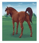 absurd_res anus equid equine feces female feral field genitals hi_res horse looking_at_viewer looking_back mammal nude pooping pussy raised_tail scatplay solo superlavplov tail
