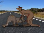 animal_genitalia animal_penis australia australian australian_outback bodily_fluids bodypaint brown_body brown_fur cum cum_on_face cum_on_ground cumshot duo ejaculation erection eyes_closed female feral fur genital_fluids genitals handjob handjob_from_feral huge_cumshot looking_pleasured male male/female markings marsupial_penis masturbation nude open_mouth orgasm orgasm_face outback pelvic_thrust penile penile_masturbation penis photo photo_background road sex smile smiling_at_another smiling_at_partner tribal tribal_markings reinderworld kangaroo macropod mammal marsupial red_kangaroo 2021 digital_media_(artwork) hi_res photography_(artwork)