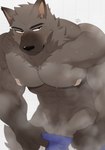 2023 abs anthro band-aid band-aid_on_nipple bandage barely_visible_genitalia barely_visible_penis black_eyebrows black_nose brown_body brown_ears brown_fur canid canine clothing eyebrows fur genitals hachi_duchi hi_res kemono male mammal monotone_body monotone_fur nude pecs penis pubes solo wet wet_body wet_fur