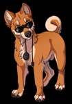 absurd_res alpha_channel animal_genitalia brown_nose brown_pawpads canid canine canis cheek_tuft chest_tuft computer_mouse domestic_dog eyewear facial_tuft feral fully_sheathed fur genitals glasses hi_res looking_at_viewer male mammal neck_tuft orange_body orange_ears orange_eyes orange_fur orange_tail pawpads rags_(youtuber) sheath simple_background solo tail tan_body tan_fur tan_tail transparent_background tuft unbreakable-warrior wearing_glasses