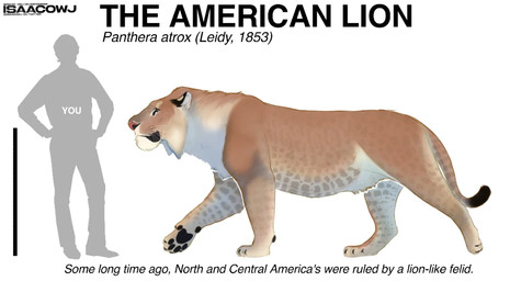ambiguous_gender black_pawpads carpal_pad cheek_tuft duo facial_tuft feral patterned_fur pawpads paws pink_nose silhouette size_difference tail text tuft whiskers white_neck isaac-owj american_lion felid human mammal pantherine prehistoric_species 2024 digital_media_(artwork) english_text signature