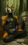 2019 ailurid anthro biped black_nose clothed clothing crosslegged_pose detailed_background digital_media_(artwork) eyes_closed fur hi_res honovy male mammal meditation muscular muscular_anthro muscular_male nipples outside partran_(red_panda) red_panda sitting solo text url