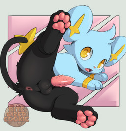 animal_genitalia animal_penis anthro anus balls blue_body blue_fur erection feet feline_genitalia feline_penis fingers fur genitals looking_at_viewer lying male nude on_side open_mouth pawpads penile_spines penis simple_background solo spread_legs spreading tail teeth toes young young_anthro young_male bitesizedcookie nintendo pokemon generation_1_pokemon generation_4_pokemon mammal pokemon_(species) shinx digital_media_(artwork)