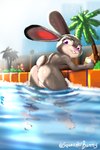 alcohol anthro anus beer beverage beverage_can butt day detailed_background female genitals grey_body group nude nude_anthro nude_female outside partially_submerged pool pussy raised_tail scut_tail short_tail skinny_dipping solo_focus swimming_pool tail tail_anus water squeakerbunny disney zootopia judy_hopps lagomorph leporid mammal rabbit hi_res