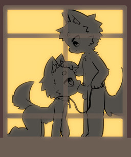 all_fours anthro anthro_on_anthro anthro_penetrated anthro_penetrating anthro_penetrating_anthro balls bdsm collar duo ears_up erection fellatio fluffy from_side genitals headpat leash light looking_at_another looking_down male male/male male_penetrated male_penetrating male_penetrating_male nude nude_anthro oral oral_penetration penetration penile penis petplay roleplay sex short_snout shota silhouette silhouetted_sex simple_background smile standing tail window young young_anthro young_male young_on_young purrkors canid canine mammal hi_res lighting