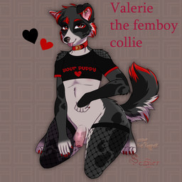 anthro balls clothed clothing femboy fur genitals humanoid_genitalia humanoid_penis looking_at_viewer male nude penis simple_background smile solo tail text cankefh velzebart valerie_(puppyboy) canid canine canis mammal 1:1 absurd_res digital_media_(artwork) english_text hi_res