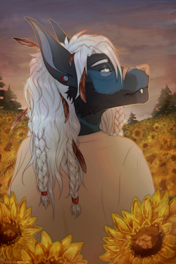 anthro blouse clothing field flower fur male outside pigtails plant shirt sky solo sunflower sunset topwear vernon_(character) kristinagoose_(artist) canid canine canis jackal mammal wolf hi_res