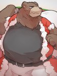 anthro belly belt brown_body brown_fur christmas_clothing clothing embarrassed facial_scar fur holidays male overweight scar solo akeguma373 christmas mihoyo zenless_zone_zero ben_bigger bear mammal 3:4 hi_res