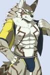 2023 abs anthro areola blush brown_body brown_fur bulge canid canine canis clothed clothing detailed_bulge fur green_eyes hi_res jackal jockstrap kiramofu lifewonders male mammal muscular muscular_anthro muscular_male open_clothing seth_(tas) solo tokyo_afterschool_summoners underwear