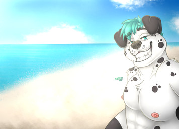 beach happy sea seaside smile summer sun sunny water naoto canid canine canis dalmatian domestic_dog mammal hi_res