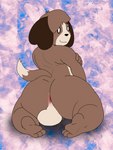 anthro balls big_butt brown_body butt genitals hair looking_at_viewer male nude solo cake_top animal_crossing nintendo digby_(animal_crossing) canid canine canis domestic_dog mammal shih_tzu toy_dog 3:4 absurd_res digital_media_(artwork) hi_res