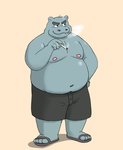 anthro belly blue_body bottomwear clothing footwear humanoid_hands kemono male moobs navel nipples overweight overweight_anthro overweight_male sandals shoes shorts simple_background solo bullbluedog hippopotamid mammal 2020 hi_res