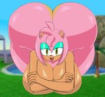 ass_up big_breasts big_butt breasts butt dark_body dark_skin female fur green_eyes huge_breasts huge_butt huge_thighs hyper hyper_butt looking_at_viewer nude pink_body pink_fur solo thick_thighs wide_hips rougethedaisy sega sonic_the_hedgehog_(series) amy_rose eulipotyphlan hedgehog mammal absurd_res hi_res